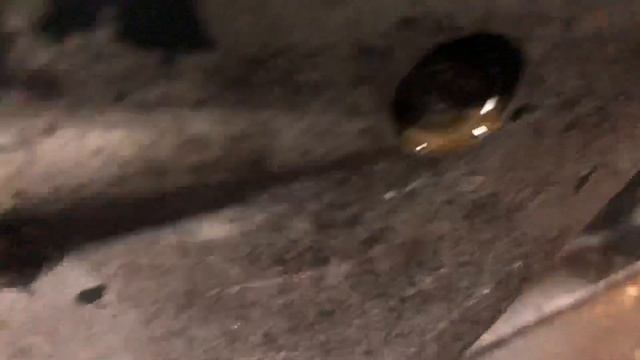 Selva 25 старушка смотреть онлайн