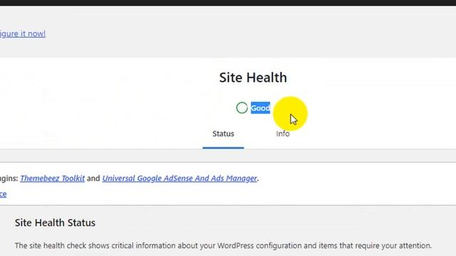 How To Quickly Check Your Site Health Status in WordPress смотреть онлайн