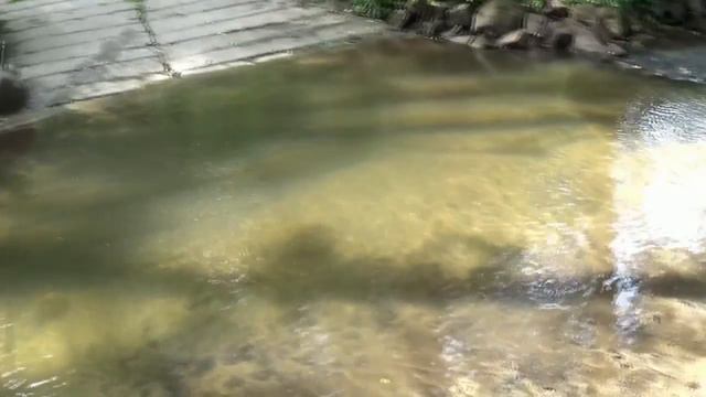 В поисках червей для рыбалки. Neubrandenburg. смотреть онлайн