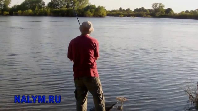 На Оке с болонской удочкой. Майская чехонь. смотреть онлайн