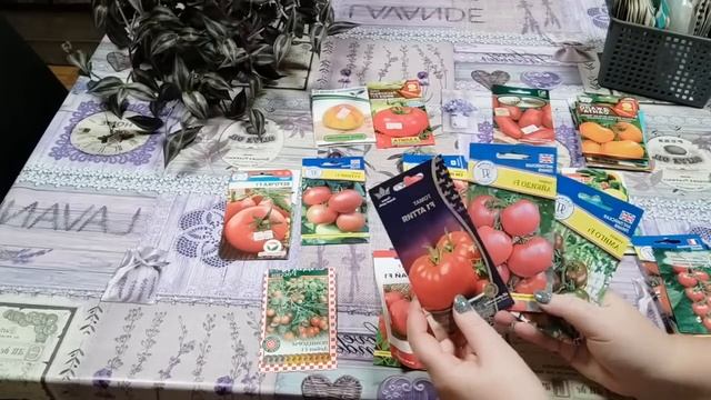 ТОМАТЫ 2024,ЛУЧШИЕ из ЛУЧШИХ !! Хочется все посеять - муки выбора))) смотреть онлайн