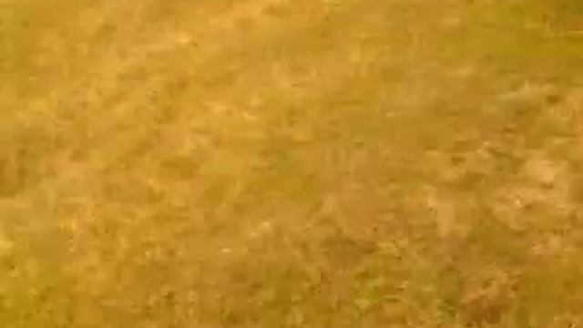 Первый День на даче