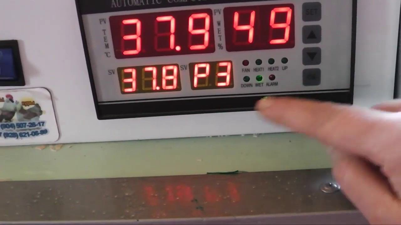 В ИНКУБАТОРЕ ТЖУ СТОЯЛА ПОДДЕЛКА. Отзыв реального клиента об инкубаторе ТЖУ. Фермерский инкубатор. смотреть онлайн