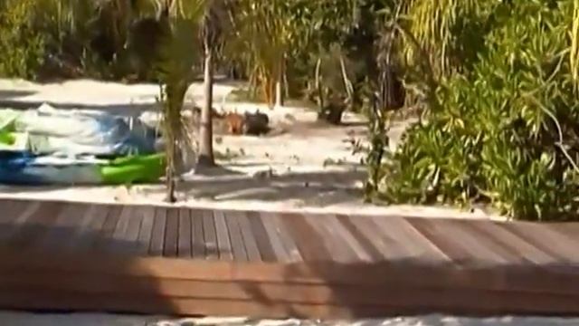 THE BAREFOOT eco hotel, HANIMAADHOO, MALDIVES смотреть онлайн