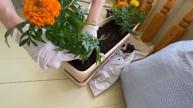 КУПИЛИ УЧАСТОК 5 СОТОК ? / САЖАЮ ЦВЕТЫ НА БАЛКОНЕ?/ ПРОГУЛКА С СЕМЬЕЙ/ мотивация на уборку смотреть онлайн