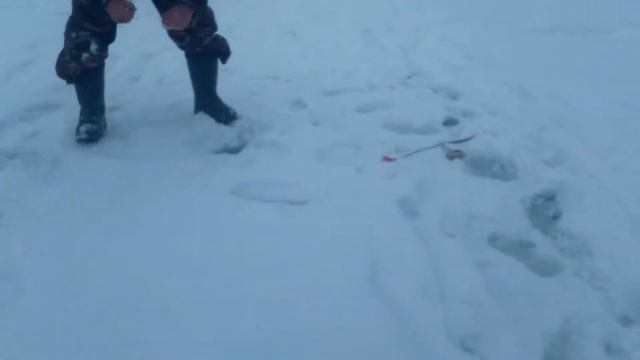 Платник в Минино смотреть онлайн