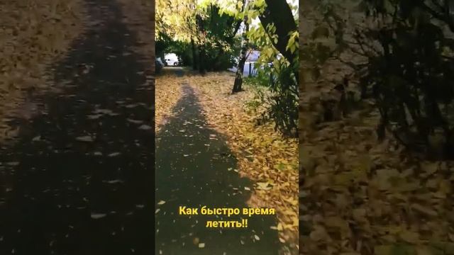 ... листья в поле пожелтели ,и кружатся, и летят..... смотреть онлайн