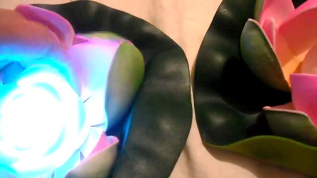 Лотосы смотреть онлайн