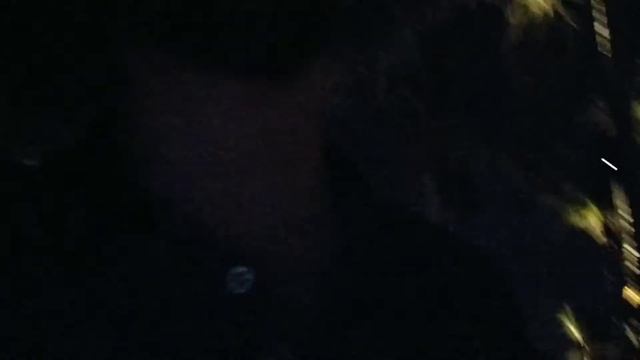 Индия - вид снаружи. смотреть онлайн