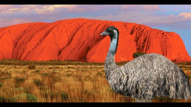the great emu war of 1932 in a nutshell смотреть онлайн
