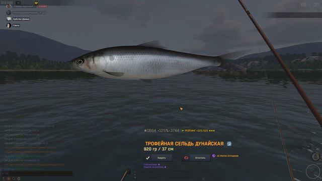 Fisher online|л. Дунай| Сельдь дунайская 3.20 глубина смотреть онлайн