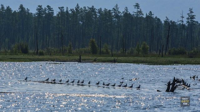 На севере Байкала. Томпа смотреть онлайн