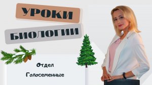 Отдел Голосеменные. Общая характеристика и значение