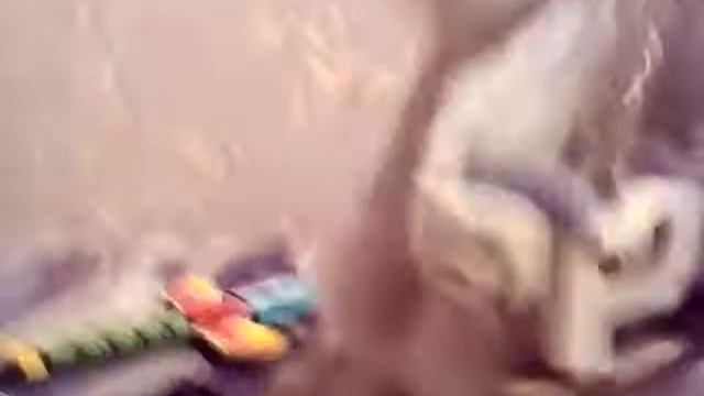 Обзор на вещи,новогодние игрушки,фирма 48 часов духи смотреть онлайн