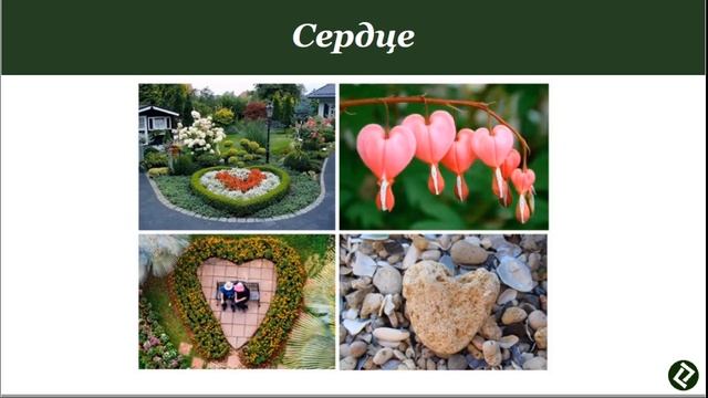 Онлайн урок на тему "Планировка цветника." ЧАСТЬ ВТОРАЯ смотреть онлайн