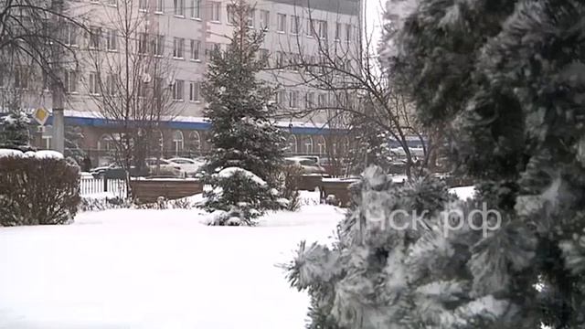 Новогодние елки украсят город смотреть онлайн