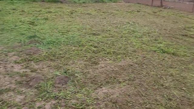 🙉 РАБОТЫ на УЧАСТКЕ 🚜