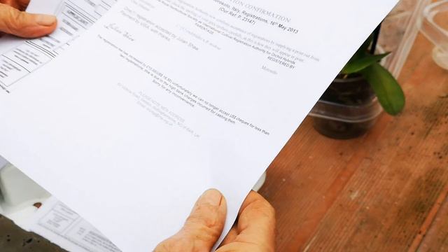 chi semina orchidea e crea un ibrido può registrarrlo nelle Sander List dell'RHS col nome che vuole смотреть онлайн