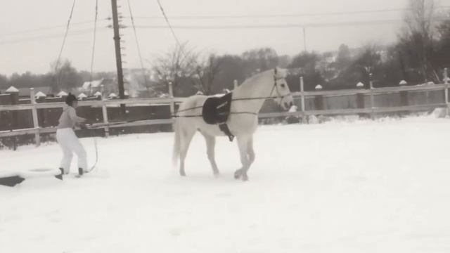 ???ПРОБУЕМ НОВЫЙ СПОРТ смотреть онлайн