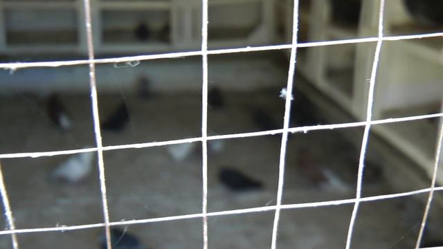 ТАК НАЧИНАЕТСЯ ДЕНЬ смотреть онлайн