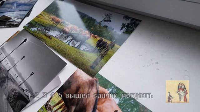 05 05 2022 Союз фотографов Республика Татарстан Мастеркласс 3 смотреть онлайн