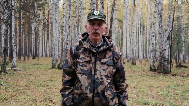 Волк это опасно! Регулирование численности. смотреть онлайн