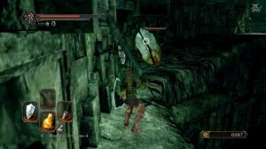 [DS2] Scholar of the First Sin - [#18] КрысаДог