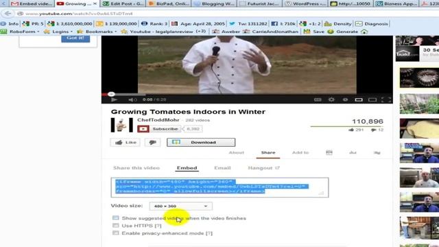 How To Add Video In Wordpress Posts: Embedding Video смотреть онлайн