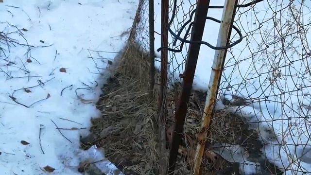 РАСХЛАМЛЕНИЕ ШКАФОВ РУКОДЕЛЬНИЦЫ?/ТКАНИ?/КРУЖЕВО?/КРАСКИ?/БУСИНЫ?/САЖАЮ ЛИЛИИ? смотреть онлайн