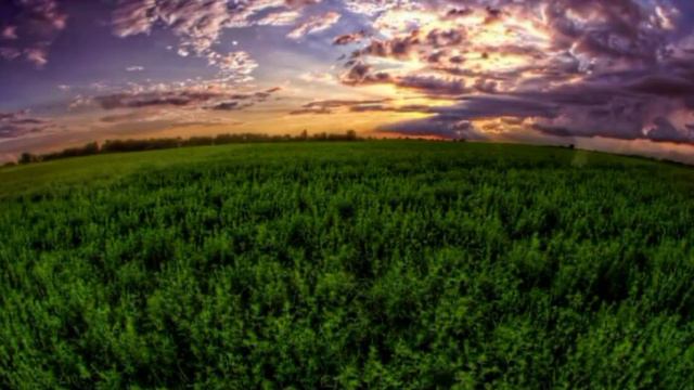 Русская песня Музалева смотреть онлайн