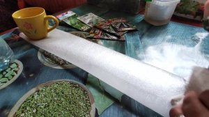 ПОСЕВ КАБАЧКОВ НА РАССАДУ! СПОСОБ БЕЗ ЗЕМЛИ! ВСЕГДА УДАЧНАЯ РАССАДА!