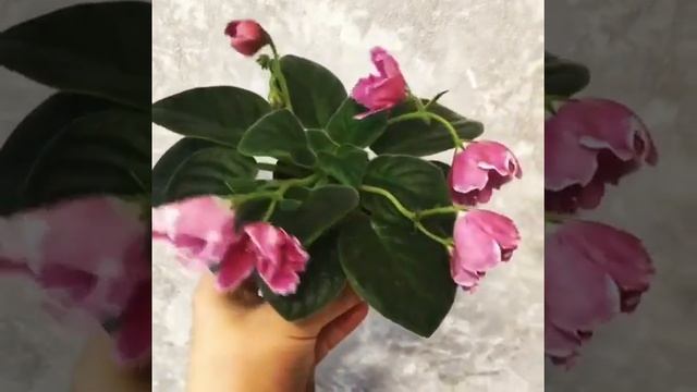 РМ-Волшебный Тюльпан. Фиалка. Сенполия. смотреть онлайн