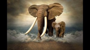 "Слон".  Камиль Сен-Санс.  "Карнавал животных"