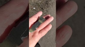 Вот такой осколочек в руках волонтера