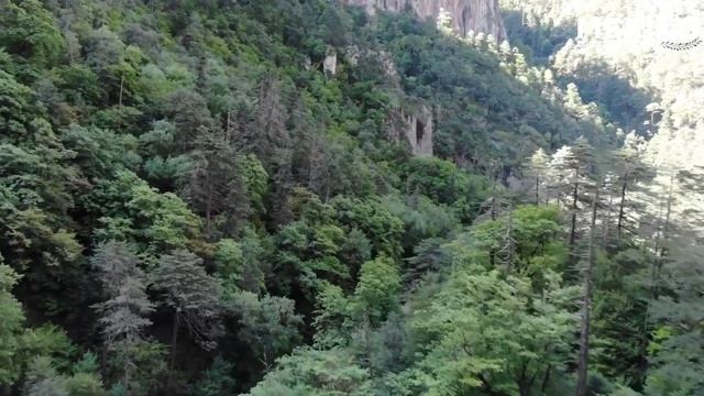 La Cascada de Basaseachi en Chihuahua | Sierra Tarahumara | Parque Nacional смотреть онлайн