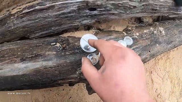 Тест Xterra 705 на золото. ~1гр. 585 Катушка Эллипс 18.75 I Gold Test