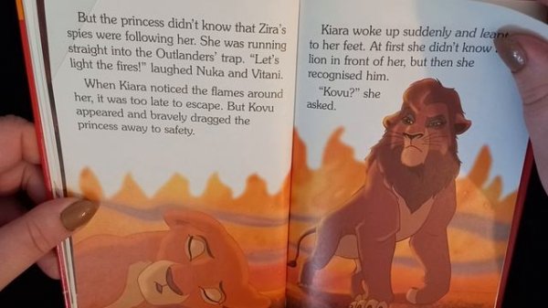 The Lion King II: Simba's Pride | Disney Ladybird Books