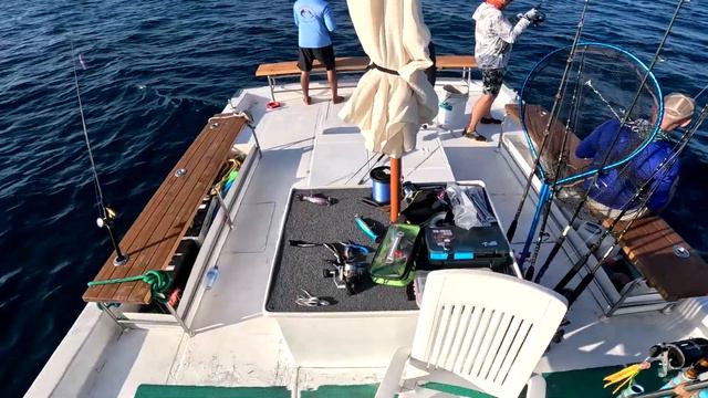 Рыбалка на Мальдивах.День -1.Часть -29.Сезон 2024 смотреть онлайн