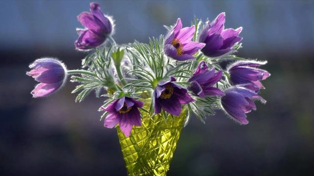 ♫ ..F. Schubert - "Schwanengesang, D. 957: Serenade (Ständchen)"- London Promenade Orchestra смотреть онлайн