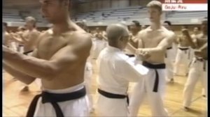 Традиционное Окинавское Годзю-рю Карате-до.