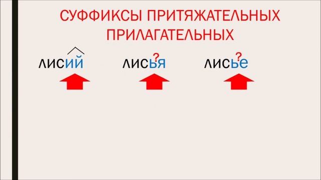 Притяжательные прилагательные. Суффиксы притяжательных прилагательных. 6 класс смотреть онлайн
