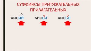 Притяжательные прилагательные. Суффиксы притяжательных прилагательных. 6 класс