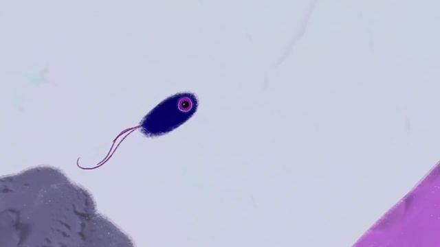 Edu: Признаки эмоционального абьюза смотреть онлайн