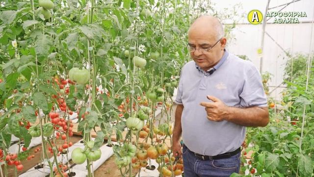 СтройКомплекс