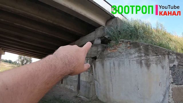 Обрушение моста. Опасная дорога. Оползень. Трасса Одесса - Мелитополь. Дороги Украина. #зоотроп смотреть онлайн