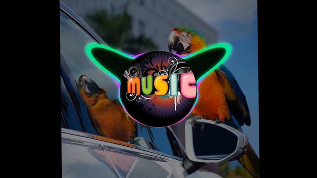 Saxro Cosmonaut Music