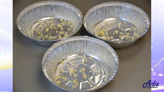 ★ЭТО ШЕДЕВР-★ ХОЛОДЕЦ ИЗ ГОВЯЖЬИХ ЛЫТОК ★ смотреть онлайн