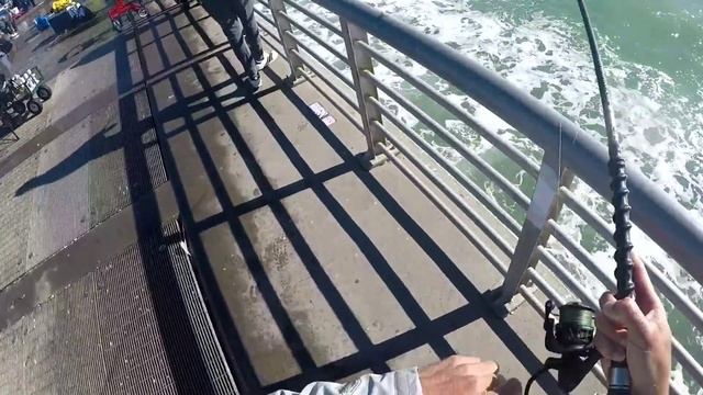 Is this $79 fishing reel up for the challenge? смотреть онлайн