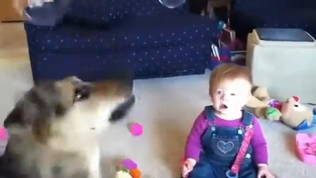 Смешные малыш и собака.Funny baby and dog смотреть онлайн