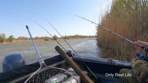 Рыбалка в Астрахани Камызякский Район, 25-26 апреля 2022 года  Впервые в Астрахани. Часть 1.